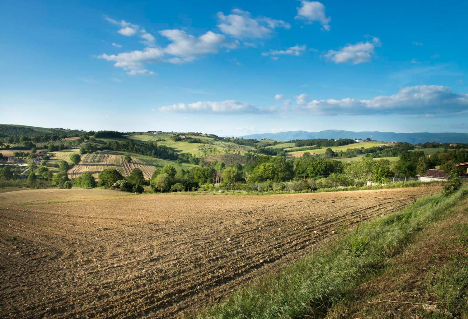Agriturismo Piano Grande Avigliano Umbro Eksteriør billede