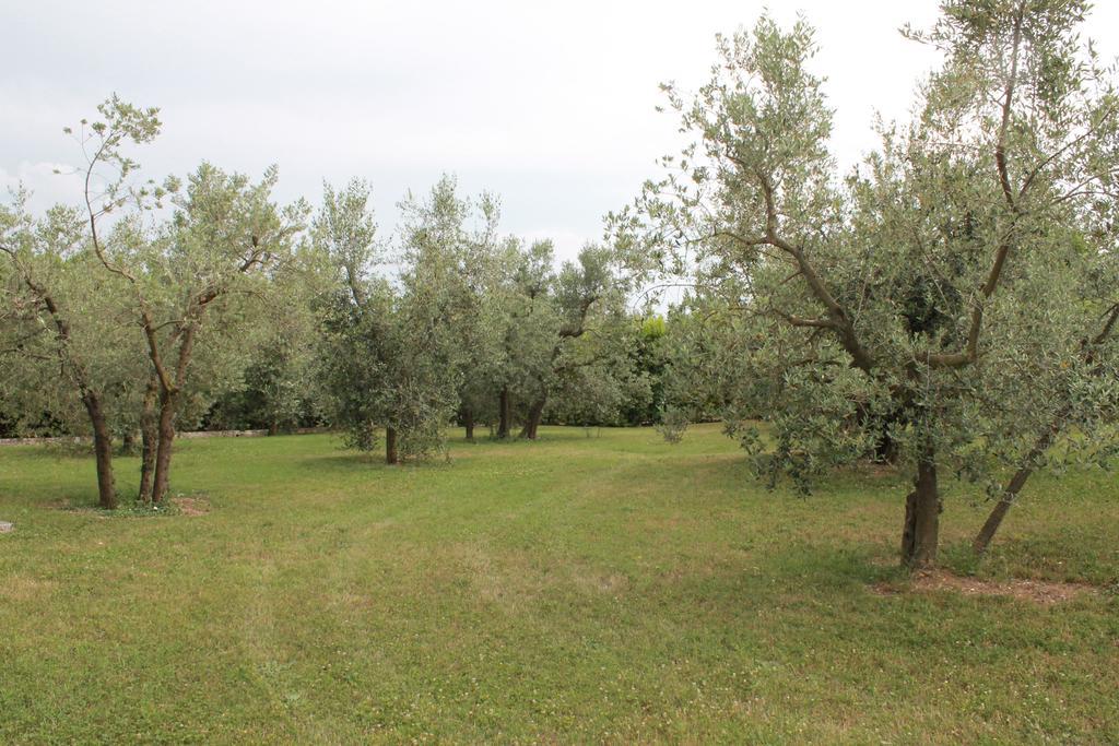 Agriturismo Piano Grande Avigliano Umbro Værelse billede